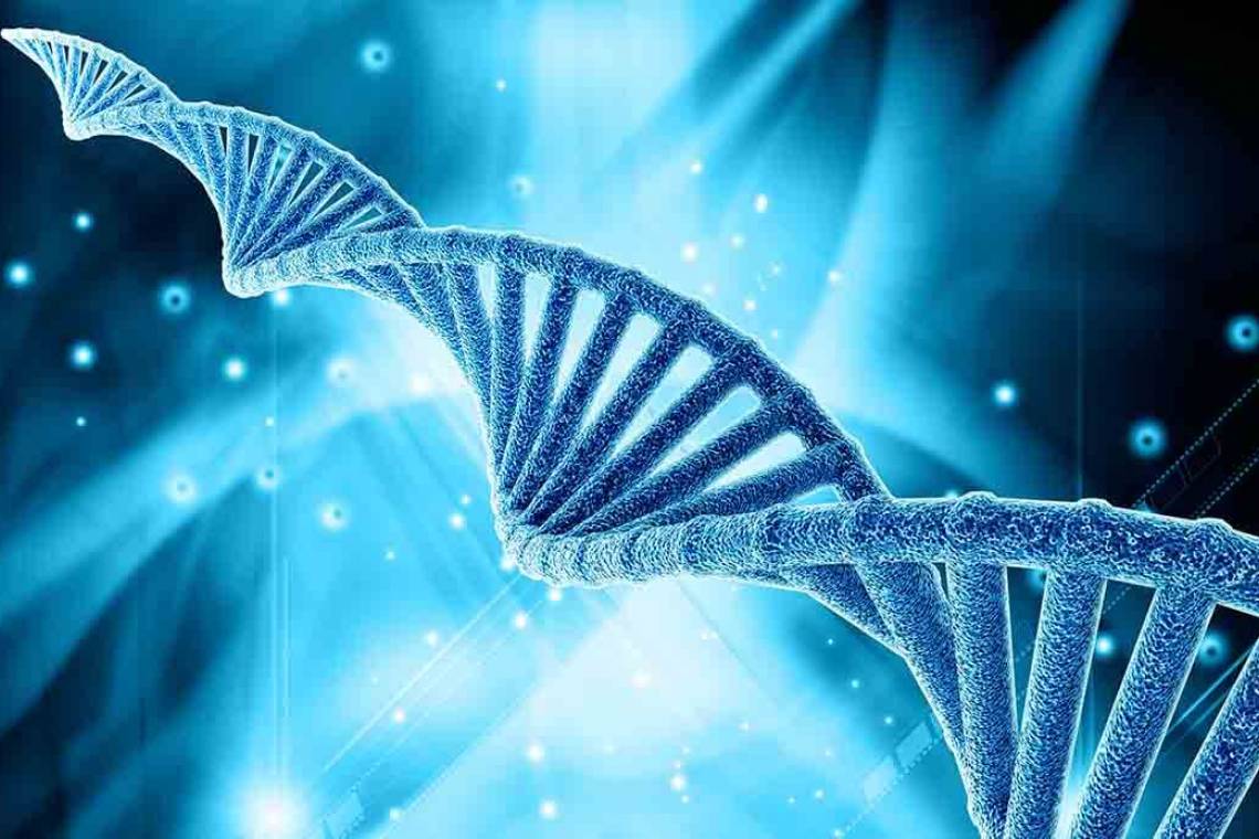 estructura ADN