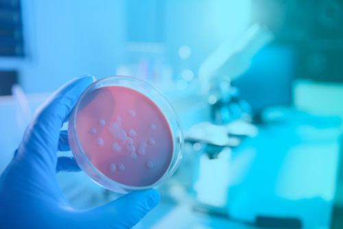 Depresión y bacterias: más unidas de lo que pensábamos