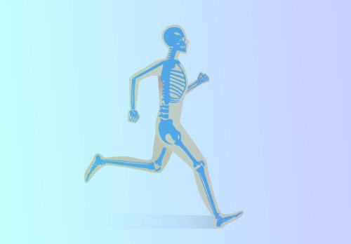 Los huesos pueden ser más importantes para enfrentarse al peligro que la propia adrenalina