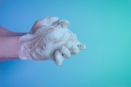 ¿Humano o animal? Primeras respuestas a cuál es el principal foco de infección de E.coli resistente