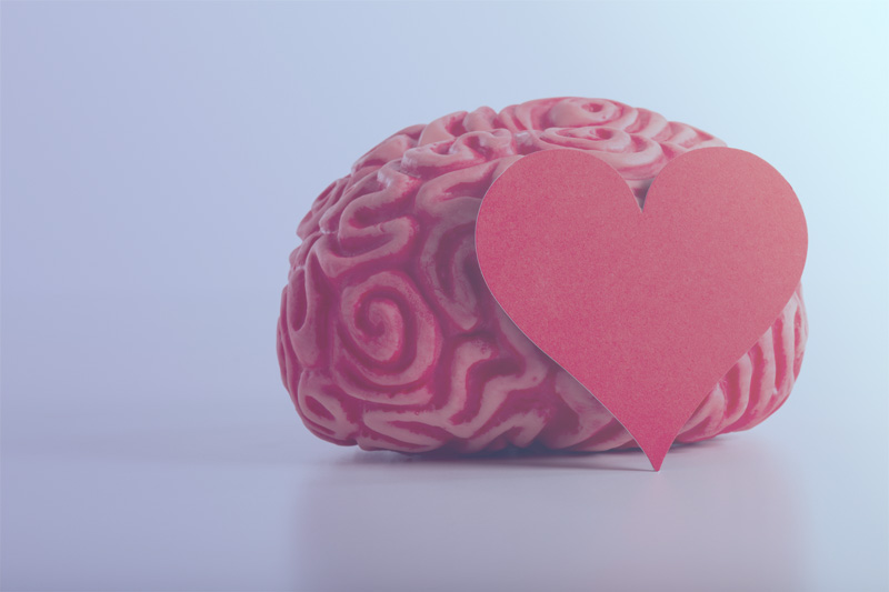 como-afecta-el-amor-al-cerebro