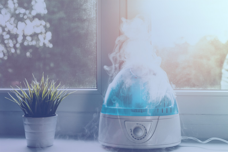 Vaporizador o humidificador?