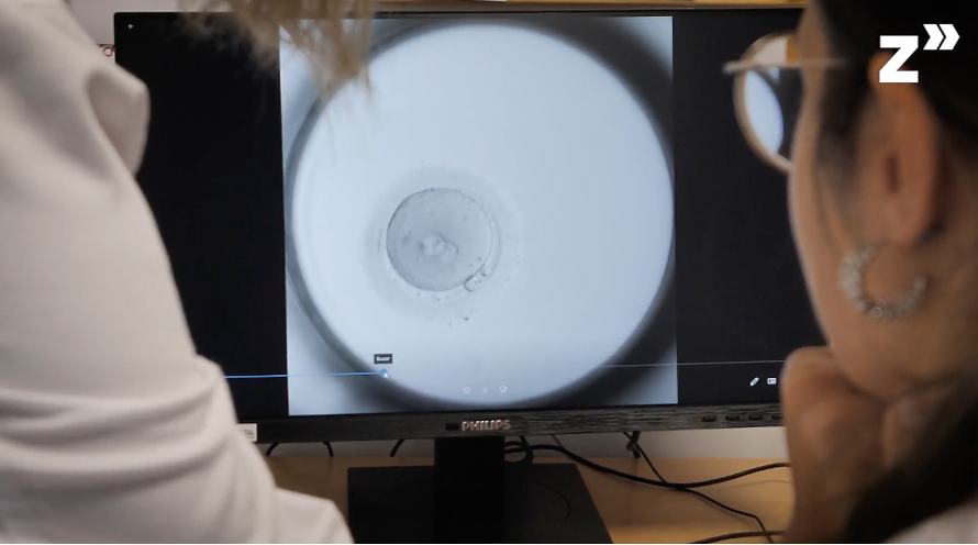 Innovación en la fecundación in vitro: digitalización del desarrollo embrionario